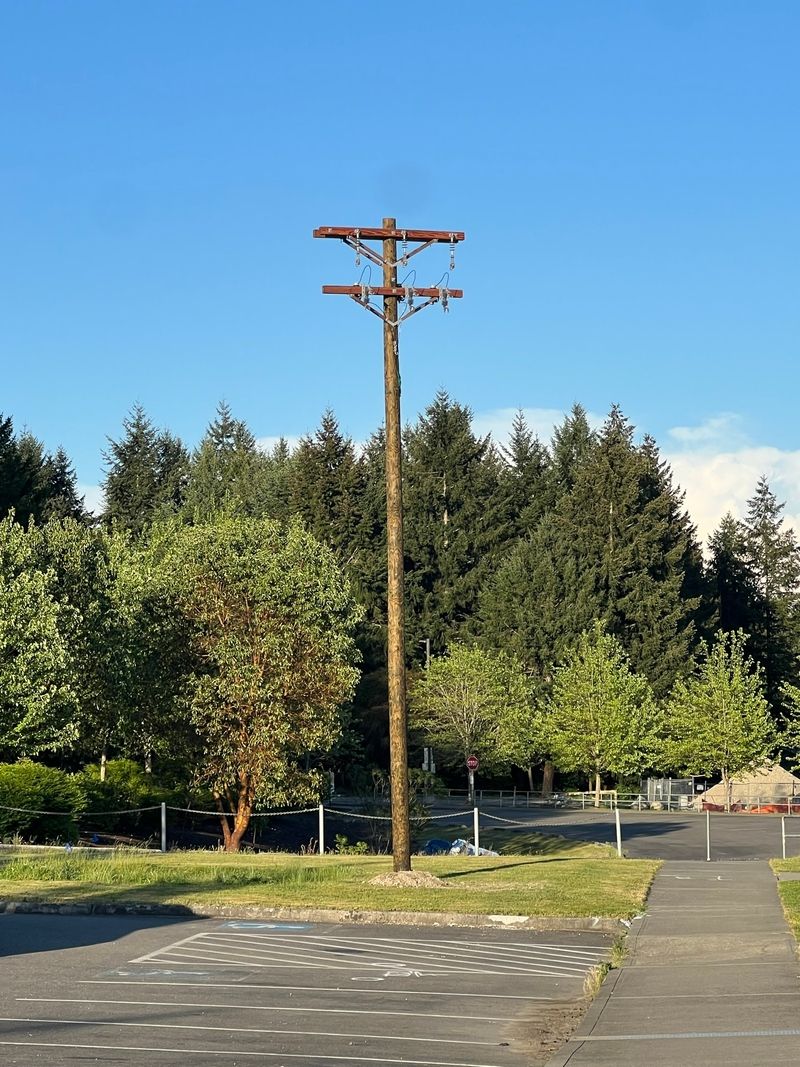 Utility Infrastructure Services Utility infrastructure and meter pole services